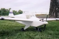 Flut-R- Bug